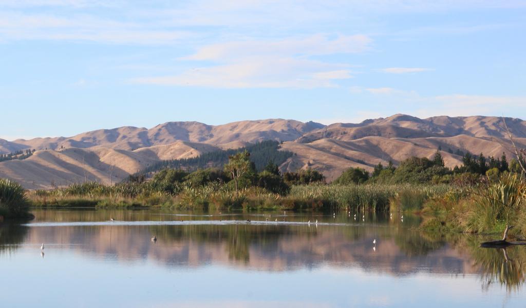 Misty River Retreat Blenheim Exterior foto